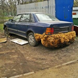 Автомобильная фотоподборка (часть 508)