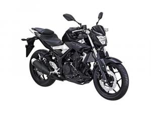 2015 Yamaha MT-25