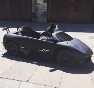 Автомобильная фотоподборка часть 511)