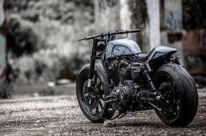 2015 Harley-Davidson Forty-Eight by Rough Crafts