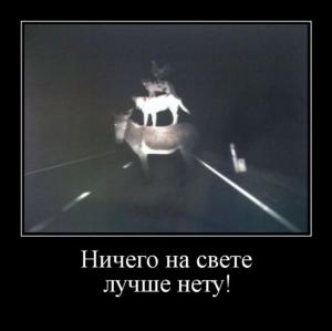 Автомобильные демотиваторы часть 513)