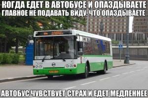 Автомобильные демотиваторы часть 515)