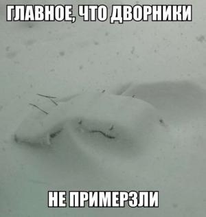 Автомобильные демотиваторы часть 516)