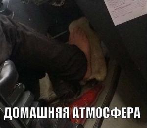 Автомобильные демотиваторы часть 517)