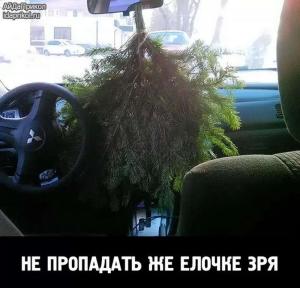 Автомобильные демотиваторы часть 520)