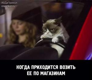 Автомобильные демотиваторы часть 523)