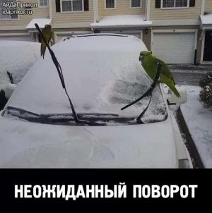 Автомобильные демотиваторы часть 524)