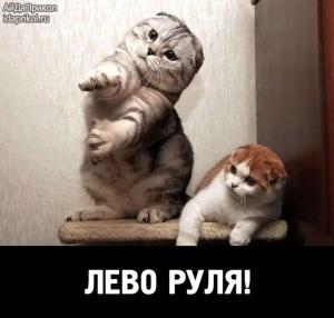 Автомобильные демотиваторы часть 524)