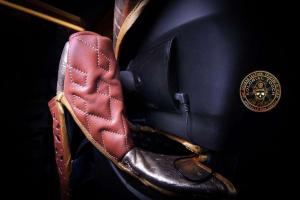 Детское кресло Dartz Motorz