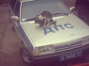 Автомобильная фотоподборка часть 526)