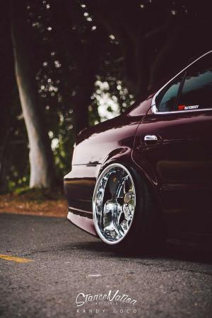 2014 Acura TL by Michael Johnson