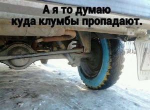 Автомобильные демотиваторы (часть 530)