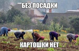 Автомобильные демотиваторы часть 532)