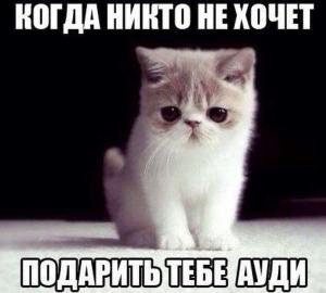 Автомобильные демотиваторы часть 534)
