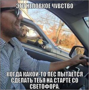 Автомобильные демотиваторы часть 534)