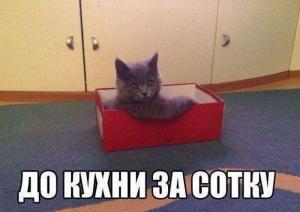 Автомобильные демотиваторы часть 536)
