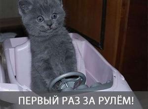 Автомобильные демотиваторы часть 537)