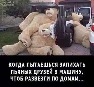 Автомобильные демотиваторы часть 538)