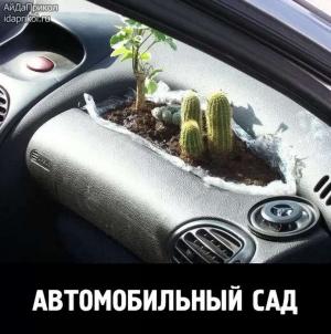 Автомобильные демотиваторы часть 539)
