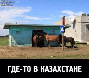 Автомобильные демотиваторы часть 539)