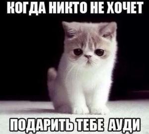 Автомобильные демотиваторы часть 539)