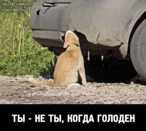 Автомобильные демотиваторы часть 540)