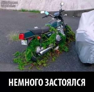 Автомобильные демотиваторы часть 540)