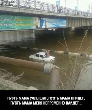 Автомобильные демотиваторы часть 541)