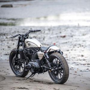 2010 Harley-Davidson XR1200 Rusty Slider by Rough Crafts