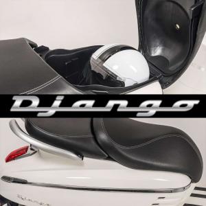 2015 Peugeot Django
