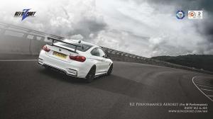 2015 BMW M4 Coupe by RevoZport