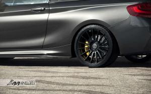 2015 BMW M235i Track Edition by Baan Velgen