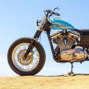 2001 Harley-Davidson XL883 Sportster by Thunder Road Customs