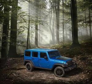 2016 Jeep Wrangler Unlimited Black Bear
