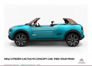 2015 Citroen Cactus M Concept