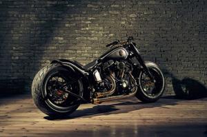 2014 Harley-Davidson Softail Slim Rough Crafts Crowned Stallion
