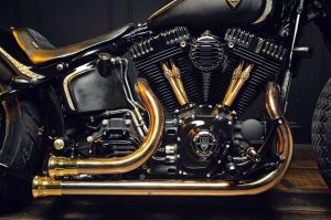 2014 Harley-Davidson Softail Slim Rough Crafts Crowned Stallion