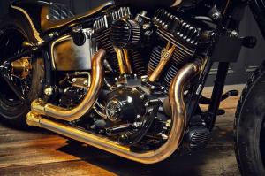2014 Harley-Davidson Softail Slim Rough Crafts Crowned Stallion