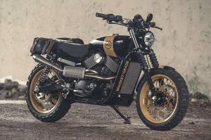 Harley-Davidson Street 750: скрэмблер от Analog Motorcycles