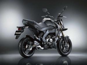 2016 Kawasaki Z125