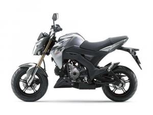 2016 Kawasaki Z125