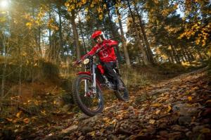 2016 Montesa 4Ride