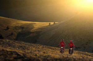 2016 Montesa 4Ride