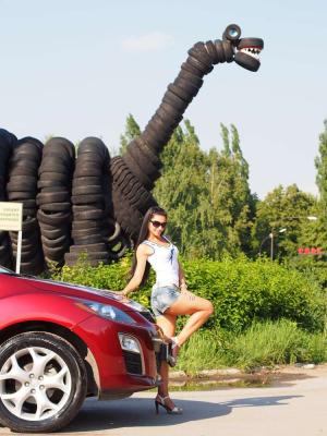 Тигрицы на прогулке