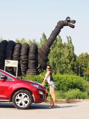 Тигрицы на прогулке