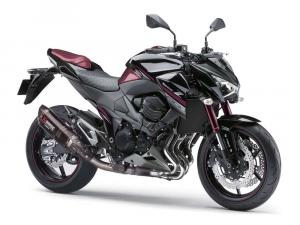 2016 Kawasaki Z800 Sugomi Edition
