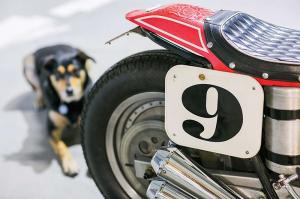 1964 Triumphant by Darren Bennett