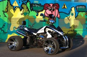 2013 Armada ATV 250D