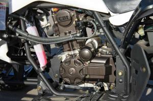 2013 Armada ATV 250D