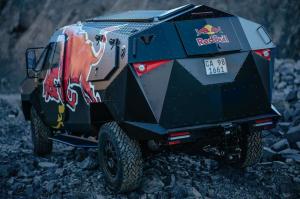 2015 Red Bull F-22 Raptor